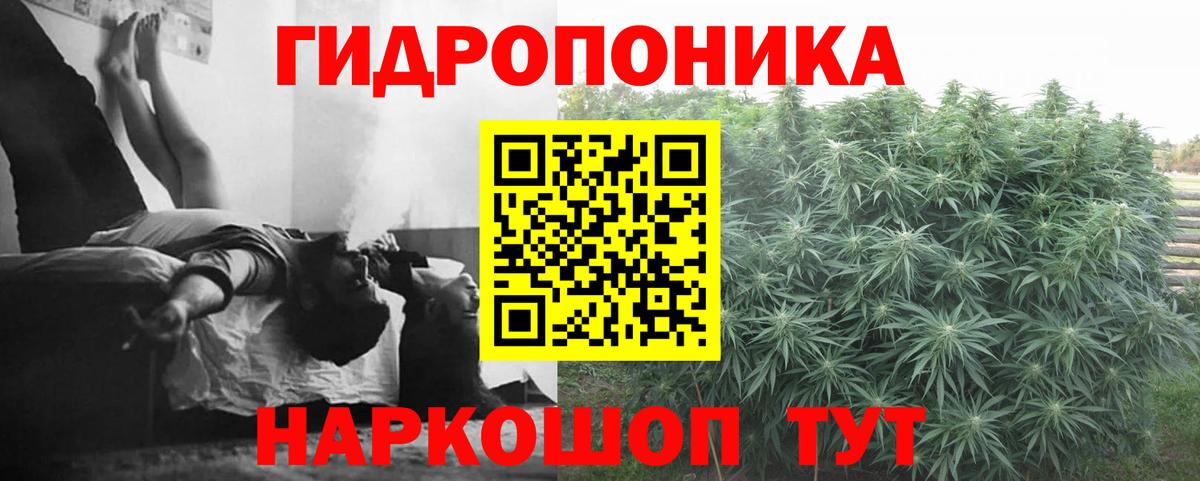 Мирный  Конопля семена  Каннабис планчик  Вход с VPN  Бошки марихуана тримм  Бошки Шишки конопля 